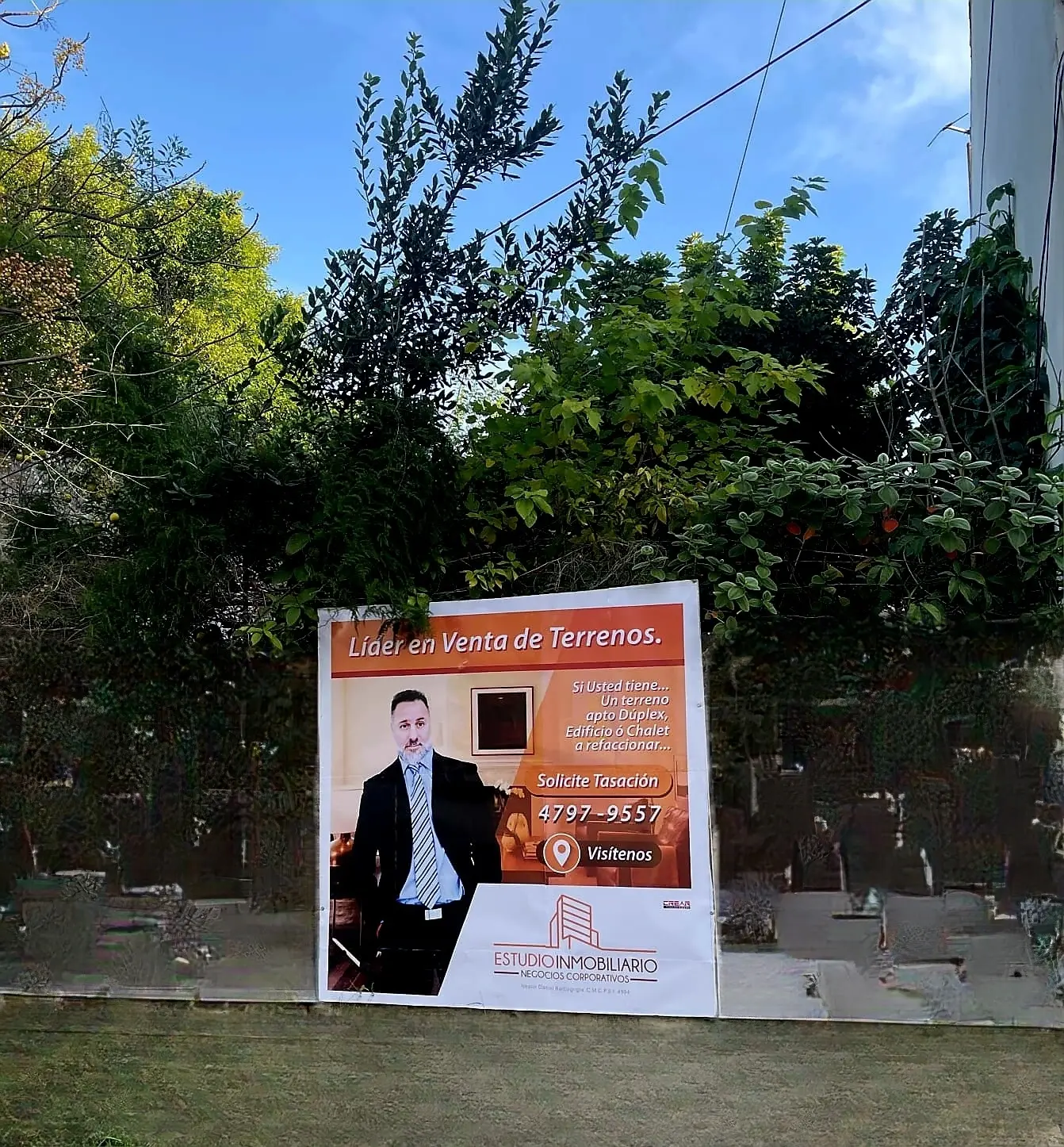 Resultados de proyectos finalizados 5